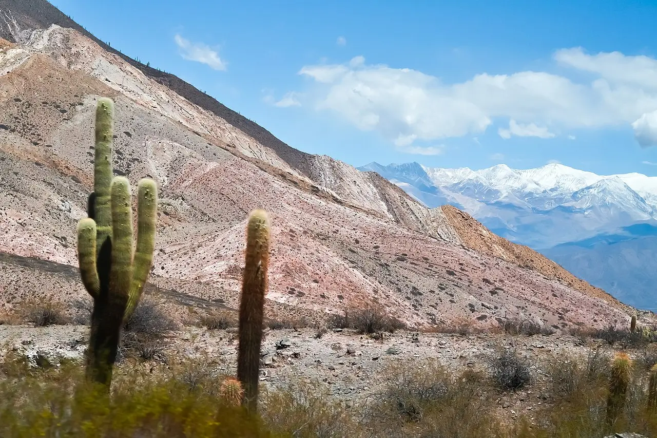 Naturaleza Salta