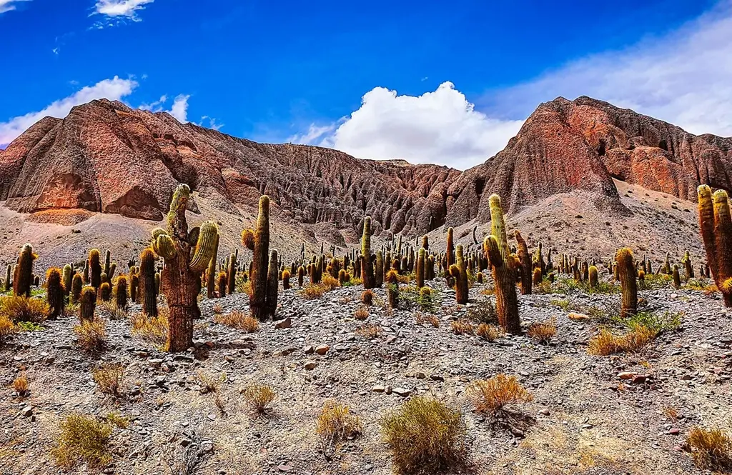 Paisaje Jujuy