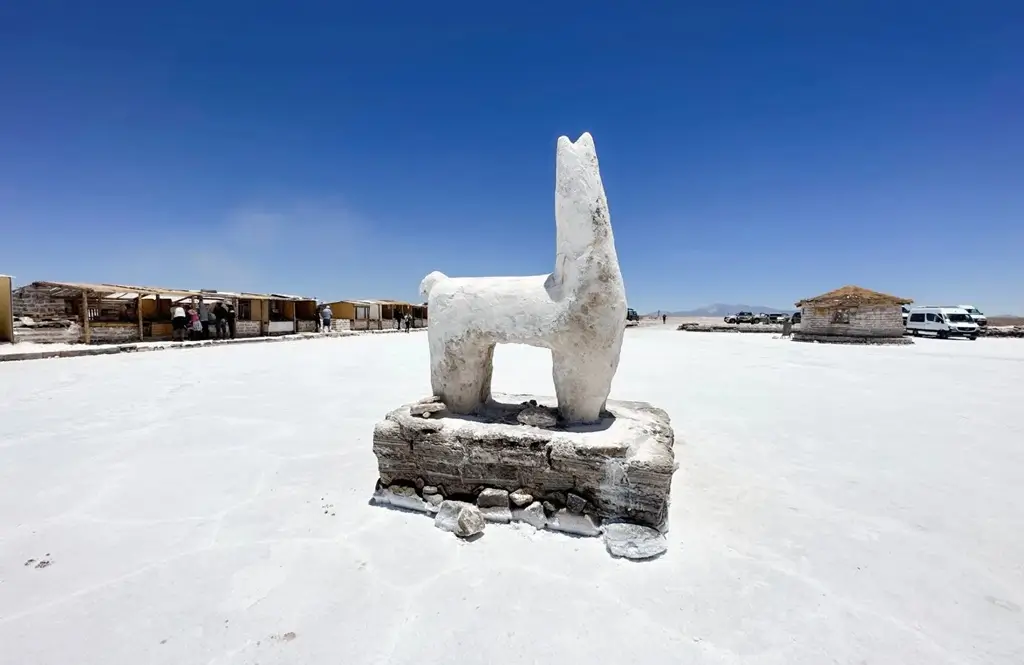 Llama de sal